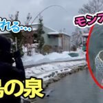 【衝撃】高島の泉でとんでもない魚がヒット!!【管理釣り場】【エリアトラウト】