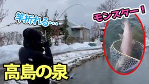 【衝撃】高島の泉でとんでもない魚がヒット!!【管理釣り場】【エリアトラウト】