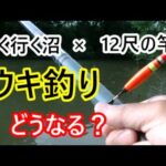 １２尺の竿でウキ釣り。楽しい初夏の沼の釣り♪【埼玉県】