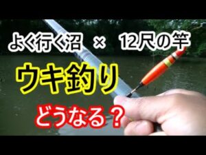１２尺の竿でウキ釣り。楽しい初夏の沼の釣り♪【埼玉県】