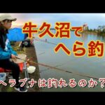 茨城県の牛久沼でへらぶな釣りをしたら爆釣だった件。
