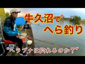 茨城県の牛久沼でへらぶな釣りをしたら爆釣だった件。