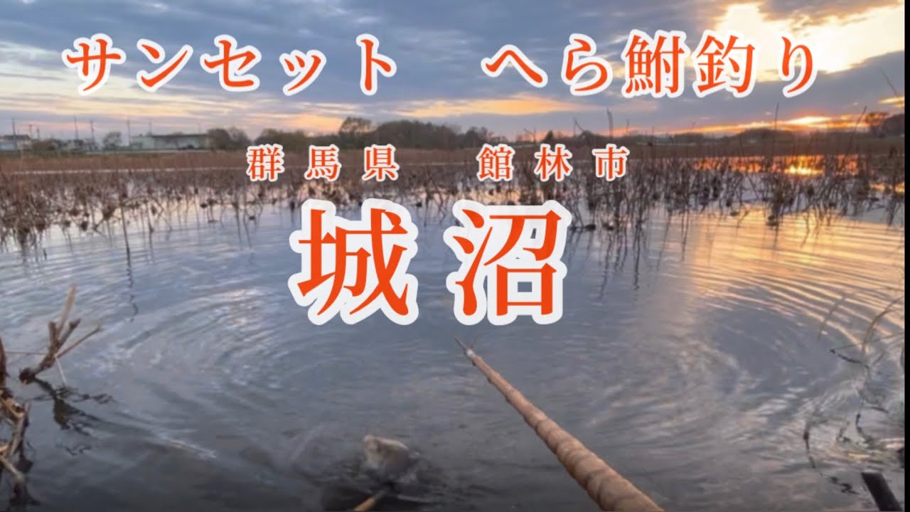 群馬県　館林市　城沼　サンセット　へら鮒釣り