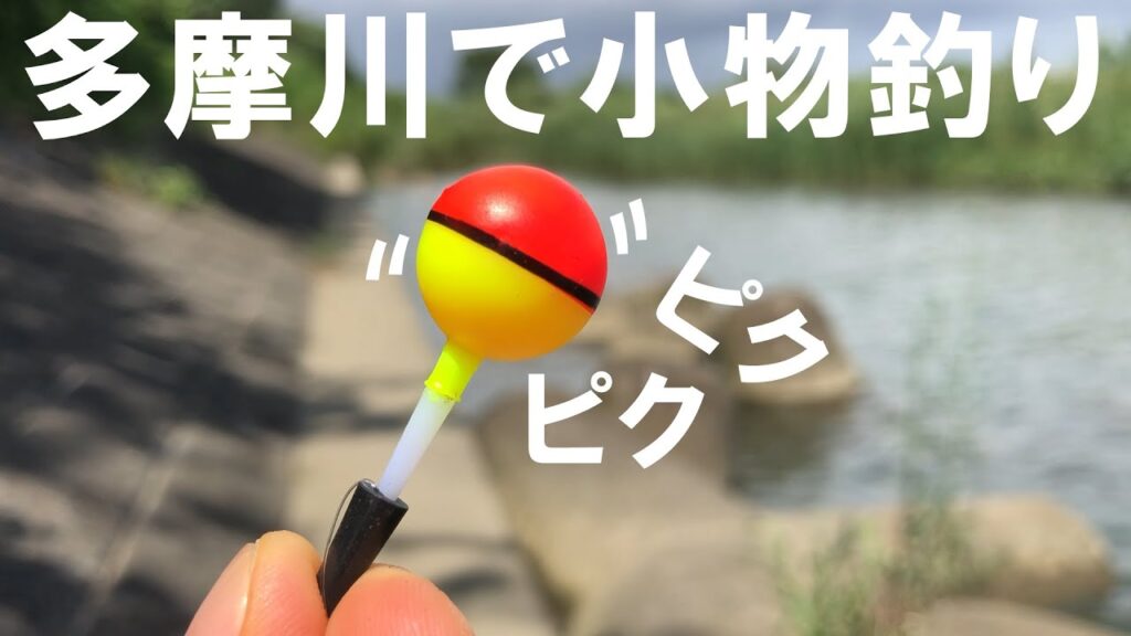 【小物釣り】夏の多摩川で魚釣り 沈む玉ウキが面白い