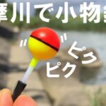 【小物釣り】夏の多摩川で魚釣り 沈む玉ウキが面白い