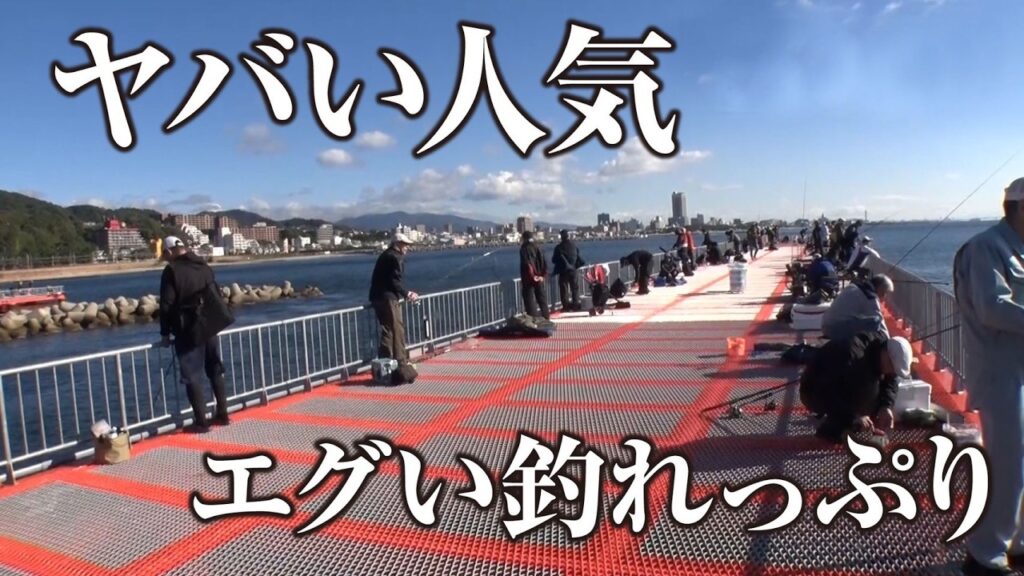 【初心者におすすめ】最強の海釣り公園が戻ってきた | ガッ釣り関西