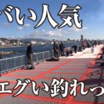 【初心者におすすめ】最強の海釣り公園が戻ってきた | ガッ釣り関西