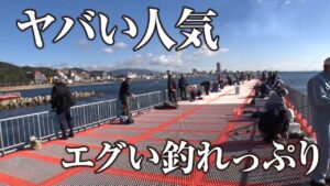 【初心者におすすめ】最強の海釣り公園が戻ってきた | ガッ釣り関西