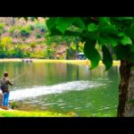 初夏の終わり【那須白河フォレストスプリングス】【管理釣り場】【エリアトラウト】