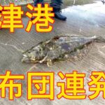 【大津港】驚愕のポテンシャル！【座布団ヒラメ】