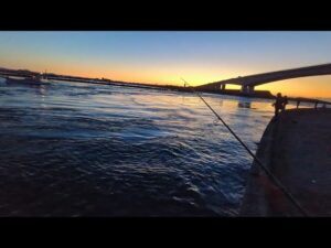 青物狙いの1週間(本日金曜日)早朝7時頃ボコボコ状態でした🐟始まってます【浜名湖釣り】🎣