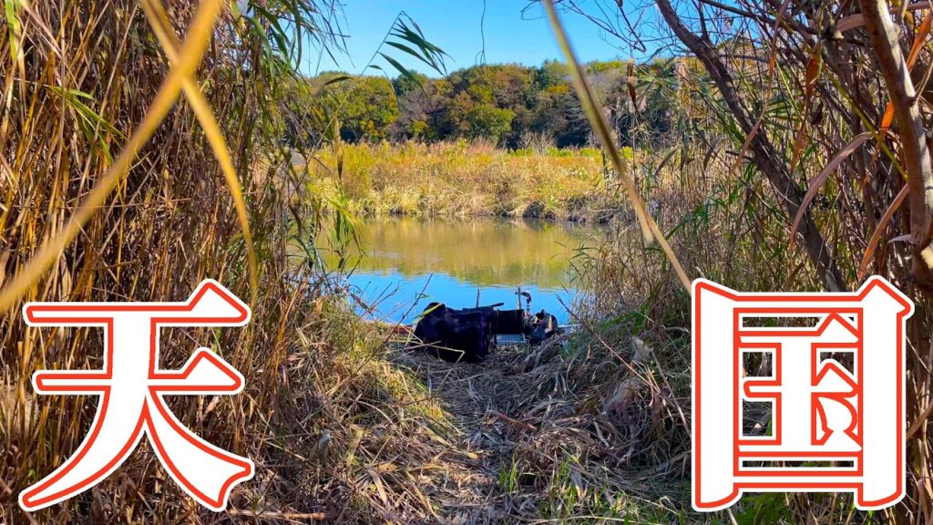 神秘的な川で釣りしたらウキが動きまくって没頭！
