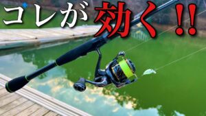 マッディポンドで効くルアーを使ったら爆釣だった【エリアトラウト 管理釣り場 嵐山フィッシングエリア】