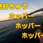仕事の合間の弾丸釣行　浜名湖海釣り公園　ショアジギング　青物好調