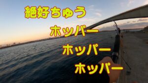 仕事の合間の弾丸釣行　浜名湖海釣り公園　ショアジギング　青物好調