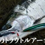 【トラウトルアー】大型サクラとニジをねらえ！洞爺湖のルアーフィッシング