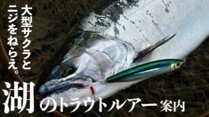 【トラウトルアー】大型サクラとニジをねらえ!洞爺湖のルアーフィッシング