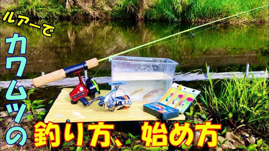[川釣り/ルアー]　カワムツの釣り方、始め方！　カワムツ釣りを始めたい方へ