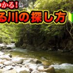 渓流釣り入門 釣れる川の探し方を実釣解説 【渓流ルアー初心者向け】【渓流ルアーフィッシング】基礎知識と開拓が爆釣への近道