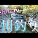 【川釣り】超手軽に始められるミミズを使った川のエサ釣り