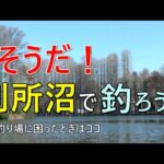 別所沼で真冬の小物釣り【さいたま市】