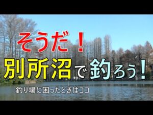 別所沼で真冬の小物釣り【さいたま市】