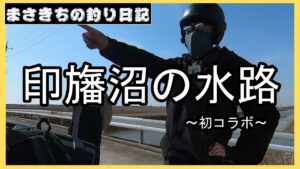 バス釣り!印旛沼の水路でブラックバス調査