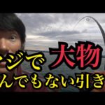 浜名湖で釣りしたら…