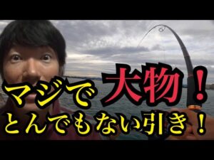 浜名湖で釣りしたら…