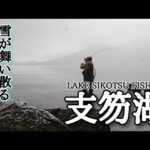 【支笏湖】ブルーバックレインボーに会いたくて、釣りに行きました【北海道釣り】