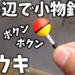 その辺の川で魚釣り 玉ウキ