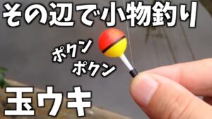 その辺の川で魚釣り 玉ウキ
