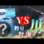 海vs川の釣り対決をやってみた結果...【海釣り川釣り】