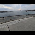 本日（日曜日）最速浜名湖大曲📢【浜名湖釣り】🎣wオープニングワラサがブリを追っかけてると言ってますw😂