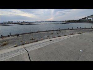 本日(日曜日)最速浜名湖大曲📢【浜名湖釣り】🎣wオープニングワラサがブリを追っかけてると言ってますw😂