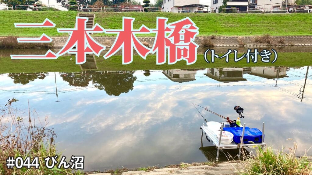 久しぶりのびん沼、釣果は如何に！？【へらぶな釣り】【野釣り】#044 びん沼 (三本木橋上流南岸)