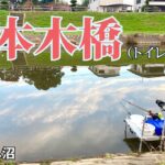 久しぶりのびん沼、釣果は如何に！？【へらぶな釣り】【野釣り】#044 びん沼 (三本木橋上流南岸)