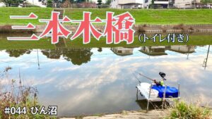 久しぶりのびん沼、釣果は如何に!?【へらぶな釣り】【野釣り】#044 びん沼 (三本木橋上流南岸)