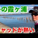 1月上旬 土浦旧港から桜川河口  バス釣り おかっぱり 霞ヶ浦