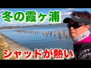 1月上旬 土浦旧港から桜川河口  バス釣り おかっぱり 霞ヶ浦