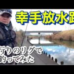 価値ある1匹求めて！ 水温６度 幸手放水路 バス釣り おかっぱり