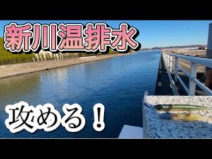 衝撃の新川！ 1月中旬の現実 バス釣り おかっぱり 霞ヶ浦
