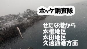 1月のホッケ釣り