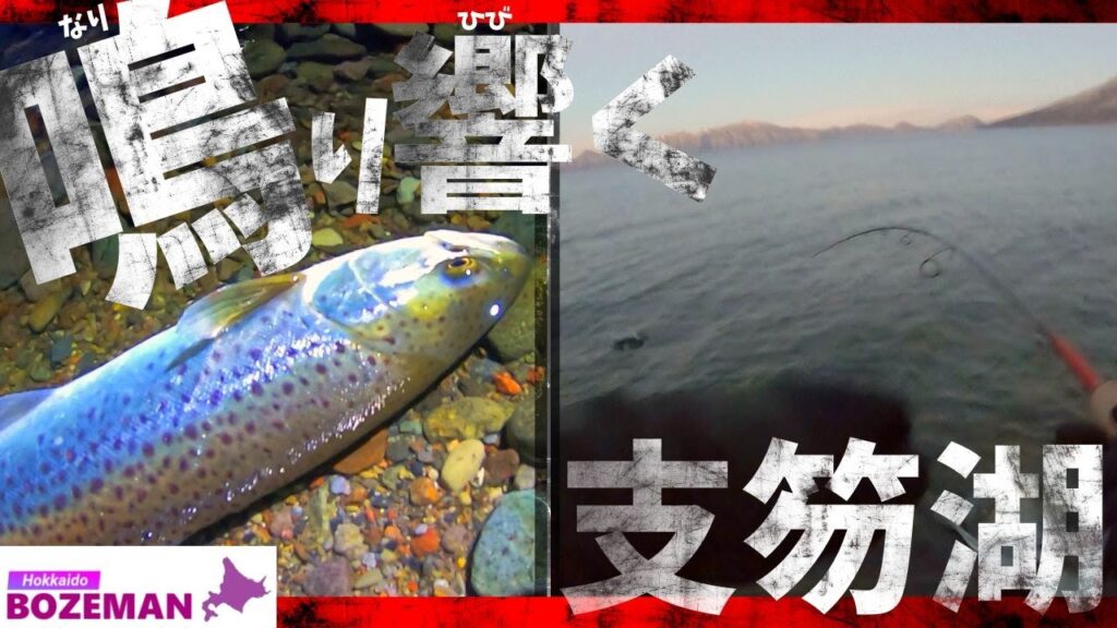 冬の支笏湖に鳴り響くマズメの音。ラスト10分… 捕食スイッチの入ったブラウントラウトが…【北海道釣り】【支笏湖釣り】