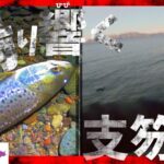 冬の支笏湖に鳴り響くマズメの音。ラスト10分… 捕食スイッチの入ったブラウントラウトが…【北海道釣り】【支笏湖釣り】