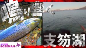 冬の支笏湖に鳴り響くマズメの音。ラスト10分… 捕食スイッチの入ったブラウントラウトが…【北海道釣り】【支笏湖釣り】