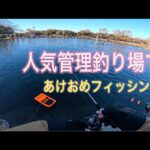 【エリアトラウト】10年振りの宮城アングラーズヴィレッジ【釣り女子】