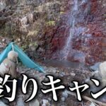 全て100均の釣りキャンプがヤバすぎた