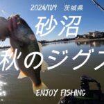 【11月バス釣り】　茨城県砂沼　バス釣り