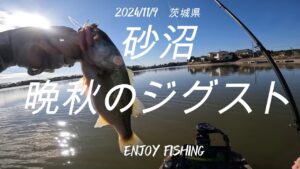 【11月バス釣り】　茨城県砂沼　バス釣り
